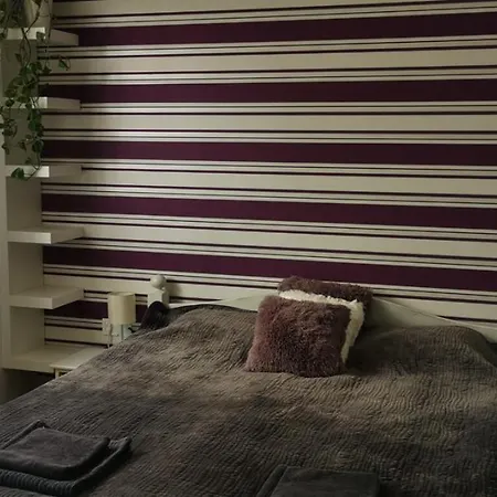 Rozsas Vendeghaz Szolad